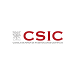 Csic logo